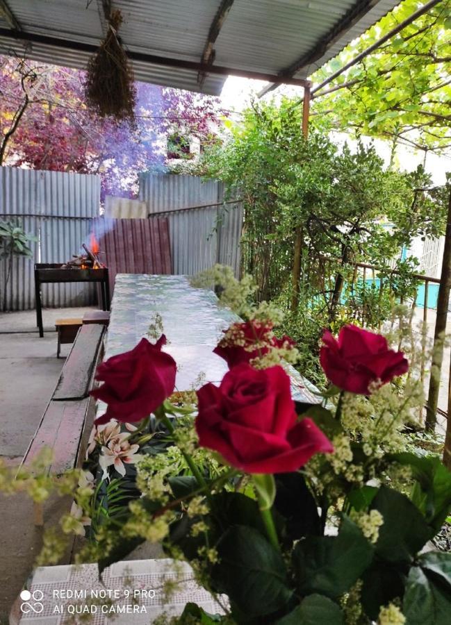 Guest House New Athos Bagian luar foto